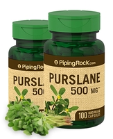 Purslane