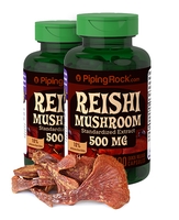 Reishi Mushroom