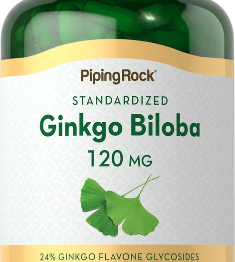 Ginkgo Biloba Extract 120 mg 200 Pills